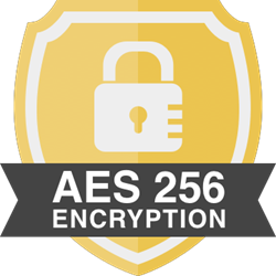 AES-256 encryption badge for court-ready security